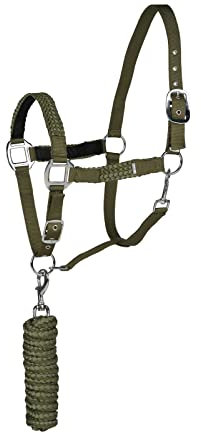 HORZE Halfter Chicago für Pferd und Pony, verstellbar mit Führstrick 2,25m, Grün, C