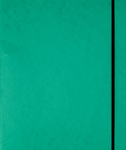 Pagna 44100-03 Ringbuch, Gummizug, A4, 16 mm, grün