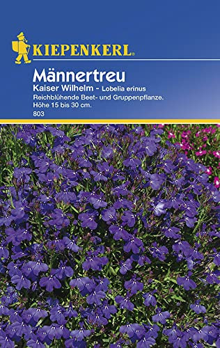 Sperli Blumensamen Männertreu Kaiser Wilhelm, grün