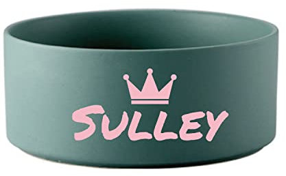 Personalisierte Keramik-Hundenapf Individueller Haustier Name Katze Keramiknapf Welpen Hund Futternapf Boden Rutschfest Überlauf Futternapf Kätzchen Welpen Futter Haustier Fütterung Wassernapf (Green)