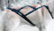 Northern Howl X-Back Zuggeschirr Fuer Bike-, Skijoring, Dogscooting, Schlitten, Blaue Pfoten (L)