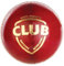 G&S Neuf SG Club 100% Original Cuir Balle de Cricket Coupe du Monde de Football Match Sports