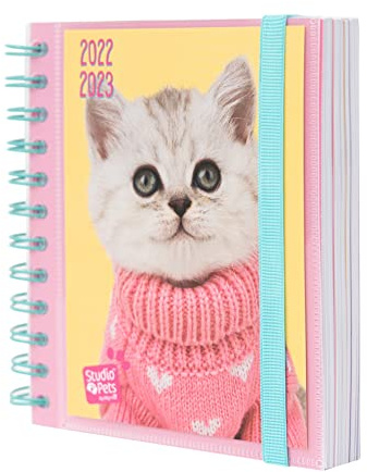 Grupo Erik Schulplaner 2022 2023, Studio Pets Cats Schulkalender 2022 2023, Terminkalender 14x16 cm, ein Tagesplaner für ein erfolgreiches Schuljahr, AEEDPM2211