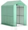 Outsunny Walk-in Greenhouse with 2 Tier 4 Shelves, Small Greenhouse with Reinforced PE Cover, Garden Plant Growhouse with Roll-up Door, 120 x 186 x 190 cm, Green