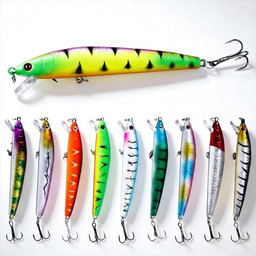 10 Stück Hecht Köder, Wobbler Hecht Angel köder für Süß und Salzwasser,Raubfisch,Angeln Geschenk 8.5g I 9.5cm angelköder Set