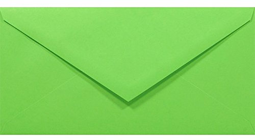 Netuno 50 Brief-Umschläge Grün DIN lang 110x220 mm 80g Rainbow Briefkuverts farbig lang Spitzklappe ohne Fenster grüne Briefumschläge Hochzeit Geburtstag Taufe Weihnachten Umschläge DL Briefhüllen