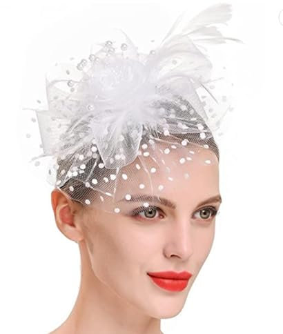 WATEFOER Fascinators Hut für Damen Mädchen Tea Party Stirnband Blume Cocktail Mesh Federn Derby Hut für Hochzeit Party Kirche