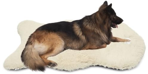 Pfoten&Nasen(TM Orthopädisches Hundebett, Farbe:Beige, Größe:X Groß