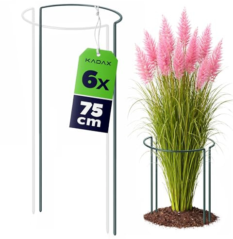 KADAX Pflanzenstütze 75 cm Höhe, 6 Stück, Staudenstütze aus pulverbeschichtetem Stahl, Pflanzenhalter für Stauden, Pfingstrosen & Hortensien (Halbrund)