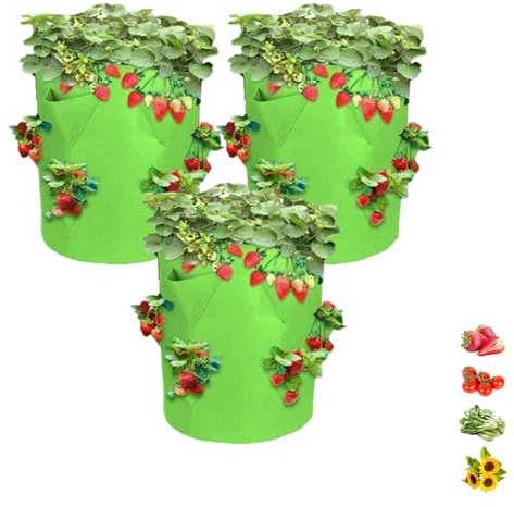 HeFZiYMOZaDP 3 Pièces Fraisier Hauteur Pot Fraisier,Fraisiers A Planter Perméables et Respirantes À 3/6/8 Trous,Sac de Plantation pour Fraises，Bacs Culture en Tissu Non Tissé pour Fruits Légumes