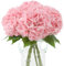 Kisflower 3 ortensie artificiali in lattice, realistiche al tatto, con steli, per matrimoni, feste, ufficio, casa, decorazione (rosa)