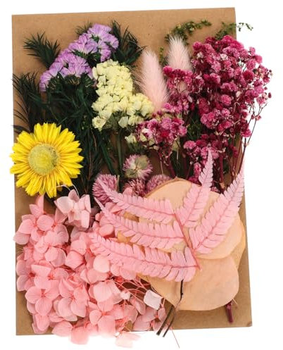 MAGICLULU Natürliche Getrocknete Blumen Pfingstrosen Künstliches Bastelzubehör Für Valentinstagsdekorationen