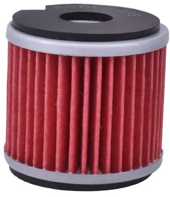 Filtro olio motore moto compatibile con BN251 TNT25 TNT250 TRK251 LEONCINO 250 BN TNT TRK LEONCINO 25 250 251 Disponibile in 1 4 e 6 pezzi(1 PC)
