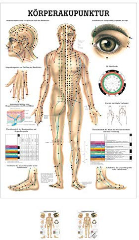 Rüdiger Akupunktur Mini-Poster Anatomie 34x24 cm medizinische Lehrmittel