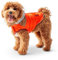 GF Pet LODGE Parka, XL Orange