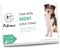 Felome MDR1 DNA-Test für Hunde – Medikamentöser Empfindlichkeitstest für Ihren Hund – Ergebnisse in 2 Wochen – Gesundheitstest für Welpen und Hunde