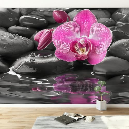 Dunkel Fototapete Stein Wassertropfen Rosa Orchidee Wandtapete, Vlies Tapete Wandtapete B450 x H280 cm Wohnzimmer Schlafzimmer - moderne Wandbilder XXL Wand Dekoration 3d Effekt