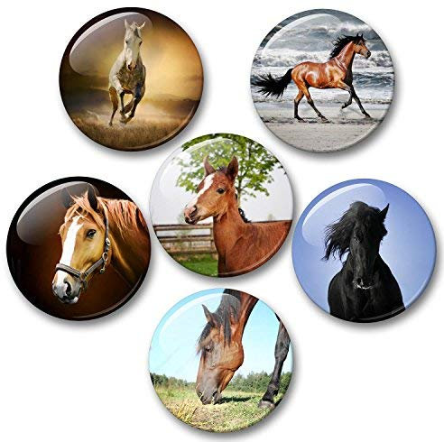Pferde Schimmel Rappe Fohlen - 6 große Kühlschrankmagnete für Memoboard Pinnwand Magnettafel Whiteboard [ 04 ]