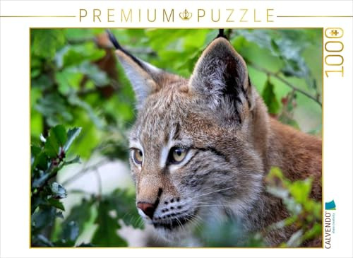 CALVENDO Puzzle Der Luchs | 1000 Teile Lege-Größe 64 x 48 cm Foto-Puzzle für glückliche Stunden