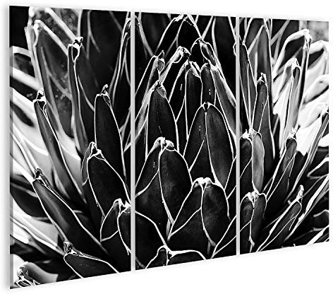 Image sur toile Cactus Ombre Noir Blanc Concept Cactus Noir Blanc Concept Murale Salon Maison Bureau Affiche Photos GJHT-3Px