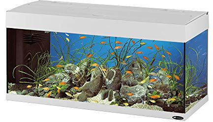 Ferplast Acquario in Vetro Dubai 100, Vasca Acquario Completo 190 L Acqua Dolce o Marino, Completo di Filtro, Lampade e Timer, 101 X 41 X H 53 cm Bianco
