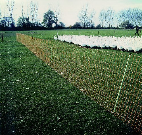 ARNDT Gartenzaun Geflügelnetz Hundezaun Katzenzaun Kleintierzaun Schafzaun - lammsicher Höhe: 112 cm Länge: 50 Meter