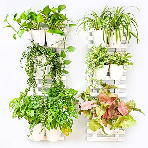 ShopLaLa Lot de 2 pots de fleurs muraux en bois pour suspendre des pots de fleurs rustiques en bois blanc vertical, salon, herbes, balcon, grande décoration verte unique, 90 cm