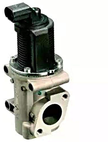 DELPHI EG10301-12B1 AGR-Ventil Abgasrückführungsventil ohne AGR-Kühler Kompatibel mit FIAT PUNTO 188 46530857 46778209 EG10301