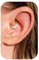 BodyBonita 16G Septum Piercing Schmuck – 316L Edelstahl Nasenring Nasenpiercing mit Zirkonia für Frauen Männer Conch Helix Piercings Tragus Daith Knorpel Ohrpiercing Gold 8mm Geometrisch Funke