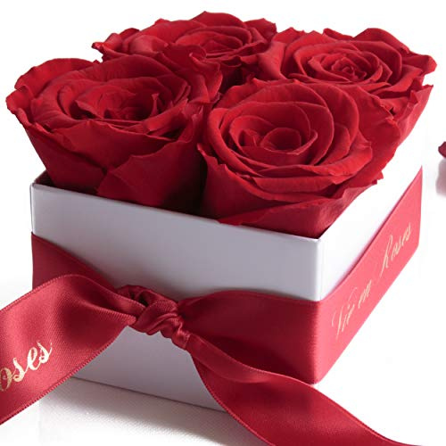 ROSEMARIE SCHULZ Heidelberg Konservierte Rosen - Blumen 3 Jahre HALTBAR - konservierte Flowerbox in Weiß mit Satinband in Rot und Goldschrift La Vie en Roses/Blumen schenken (Rot)