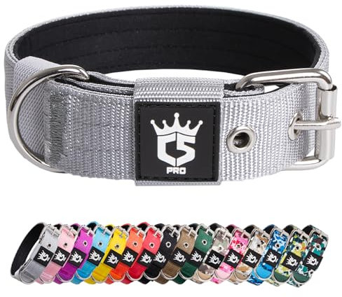 TSPRO Taktisches Hundehalsband, Robustes Halsband für Hunde mit Metallschnallenverschluss, 3,3 cm Breit, Verstellbar und Dick für Kleine Hunde (Silber S)