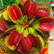 Generic 100 Pz Dionaea Muscipula Semi Acchiappamosche Pianta Carnivora Bonsai Decorazione da Giardino per Giardino Esterno e Interno… Semi di Dionea Muscipula