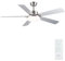 Newday 132cm Ventilador de Techo con Luz y Mando Plata, Ventilador de Techo con Lampara Regulable y 5 Aspas Grande, Motor DC Silencioso, 6 Velocidades, Patrones de Sueño para Dormitorio Terraza Salon