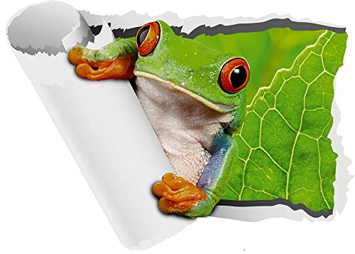 GRAZDesign Wandtattoo Frosch - Wandsticker für Badezimmer, Türtapete für Bad, Kinderzimmer Wald, Wandaufkleber Wohnzimmer