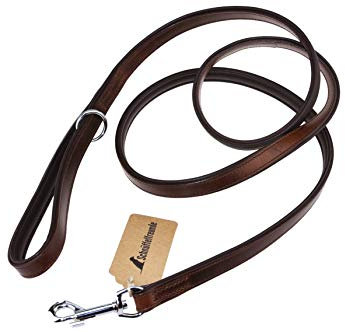 Schnüffelfreunde Hundeleine aus Leder - Führleine - Lederleine für den Hund - Für alle Hunde (180cm, Braun)