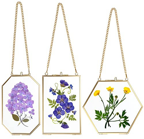 SUMTree 3 Packungen goldene Bilderrahmen zum Aufhängen aus Glas, 4 x 6 Zoll, rechteckig, 4 x 6 Zoll, achteckig, 8 cm Seitenlänge, sechseckig