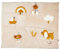 Nattou Tapis d'éveil, Chien Charlie, 15 activités telles Hochet, Couineur, Papier froissé et bien d'autres, env. 80 x 100 cm, Végétalien, Polyester, Marron