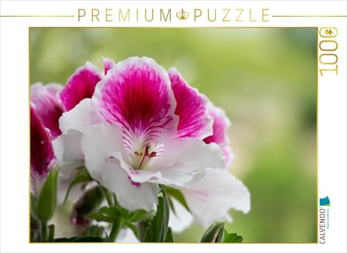 CALVENDO Puzzle Edelpelargonie 'Elegance Bravo' (Pelargonium grandiflorum) | 1000 Teile Lege-Größe 64 x 48 cm Foto-Puzzle für glückliche Stunden