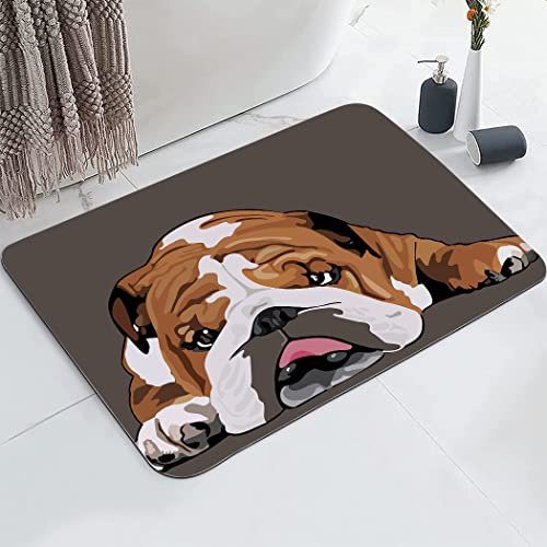YISUMEI Tapis de salle de bain amusant avec revers en caoutchouc, antidérapant, super absorbant, convient sous la salle de bain, tapis de sol pour douche, baignoire, évier, 43,2 x 61 cm