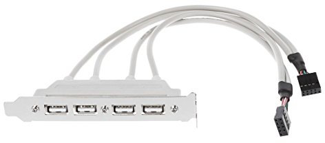 BLASHRD Placa Madre-USB-Adaptador de Cable (4 x USB 2.0 en Enchufe de 9 Hilos)
