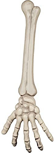 Boland 74556 - Skelett Arm circa 46 cm, Knochem für Partydeko, Dekoration für Halloween, Karneval und Mottoparty
