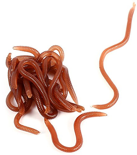 Haofy 10 cm Wurmförmiger, Fischartiger Geruch, Weiche Angelköder mit Box für, Künstliche Angelwürmer, Nachtkriecher, Forellenwürmer