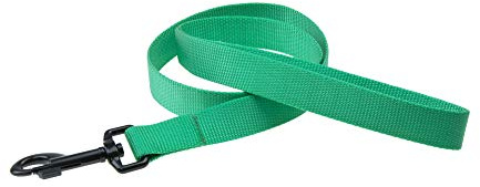 Karlie Art Sportiv Plus Leine neue universal Farben Mix and Match L: 100 cm B: 20 mm M mint