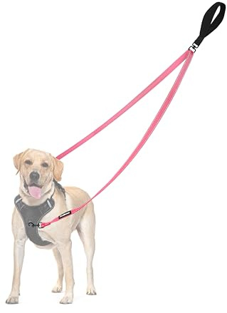 PetBonus No Pull Anti-Zieh Hundeleine, Keine Verwicklung Doppelleine für Anti-Zug Geschirr, Reflektierend Hundeleine zum Trainieren und Gassi gehen für große mittlere Hunde (Rosa)
