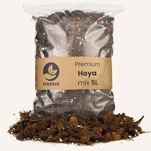 Sybotanica hoya mix 5l