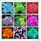 Portal Cool Bunte Hosta Mix Bonsai Seed-Baum-Blumen Pflanzen Dekor Hausgarten