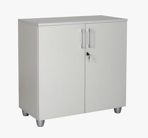 furni24 Aktenschrank mit Schloss und Fächern – Abschließbarer Holzschrank, mit 1 verstellbaren Regalbrettern, Flügeltüren und Metallscharnieren – Grau, 80x80x40 cm