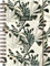 BRUNNEN Schülerkalender (2024/2025) „Little Plants“, 1 Seite = 1 Tag, A5, 352 Seiten, mehrfarbig