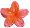 Egg Flower Hair Claw Clip per capelli spessi, fermaglio per capelli grandi, fermagli colorati per capelli, fermagli per capelli, per donne, donne e ragazze