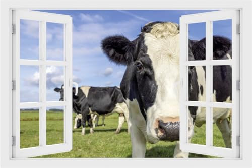 DesFoli Wandtattoo Kuh auf der Weide - verschiedene Rahmentypen DW000109 Farbe Fensterrahmen Querformat, Größe 90 cm x 60 cm